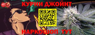 сатива Аргун