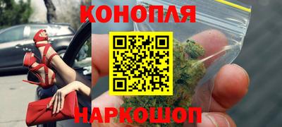 сатива Аргун