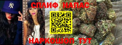 сатива Аргун